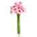 pink gerberas in a vase. Omsk